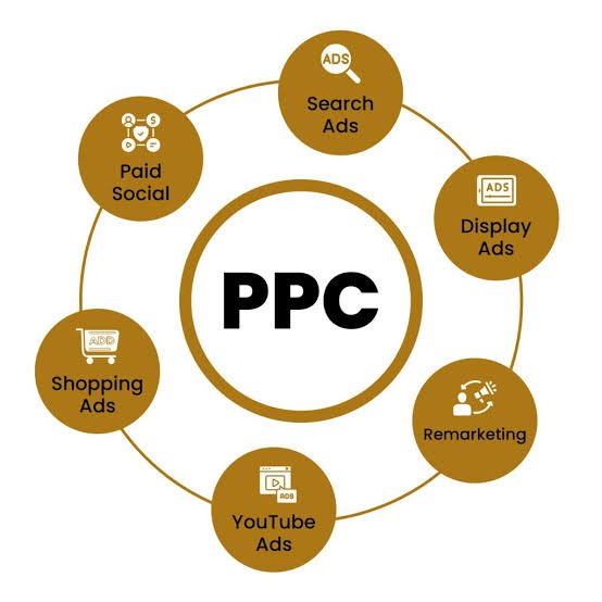 SEO Vs PPC: Which Is Better for Business Growth in 2026? images (1)